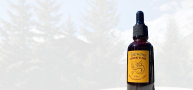 cms-banner1