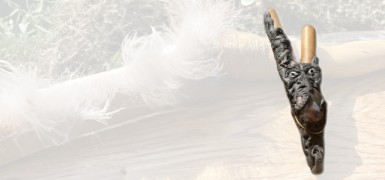 cms-banner1
