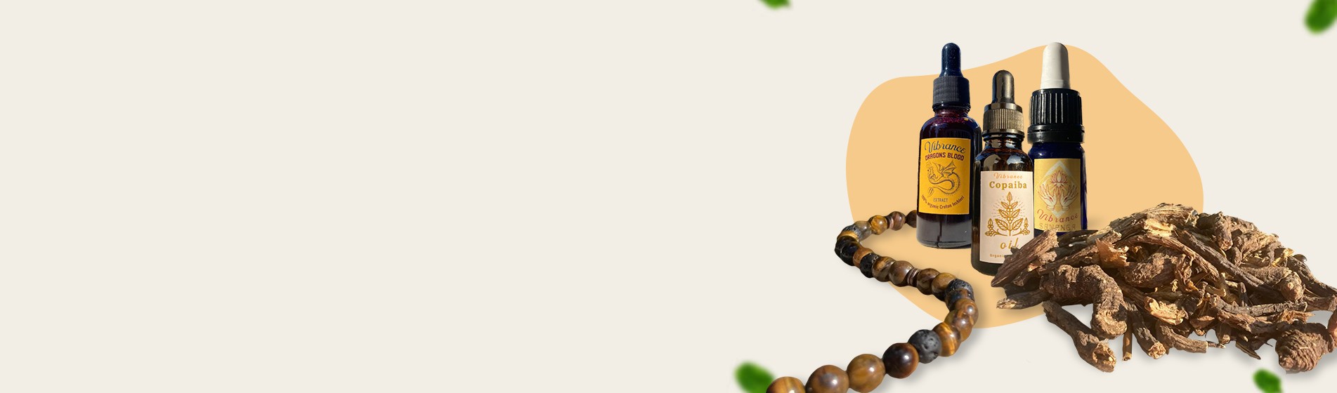 Síla bylin z celého světa